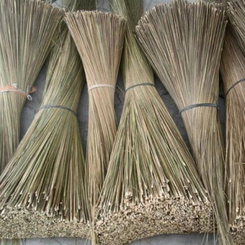 Palm Ekel Broom Stick